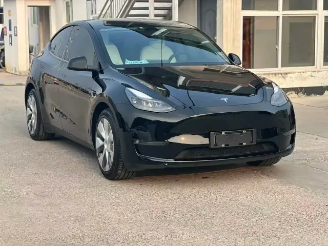 Tesla Model Y — Фото автомобиля 3
