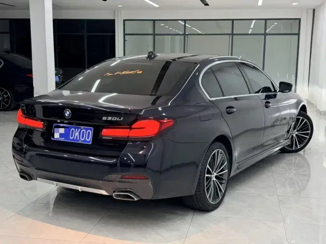 BMW 5 Series — Фото автомобиля 9