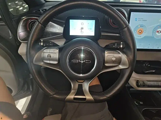 BYD Dolphin — Фото автомобиля 10