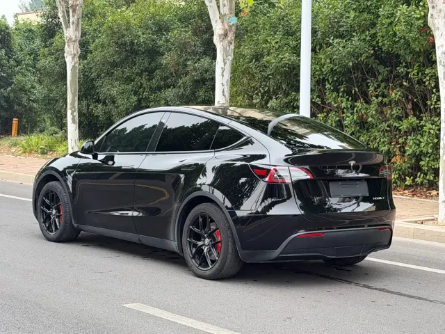 Tesla Model Y — Фото автомобиля 5