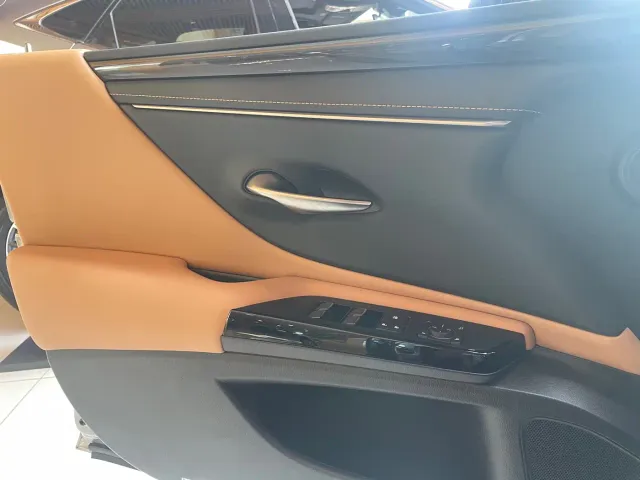 Lexus Lexus ES 2022 300h Excellence Edition — Фото автомобиля 13