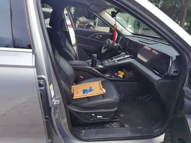 Haval Xiaolong MAX — Фото автомобиля 19