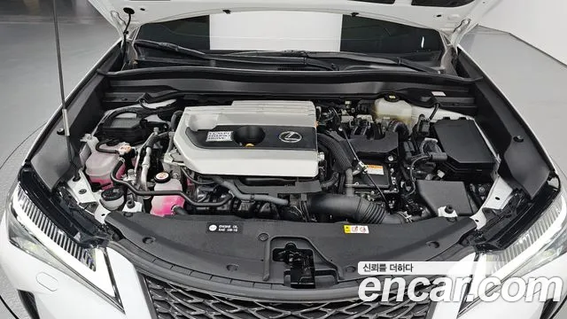 Lexus UX — Фото автомобиля 6