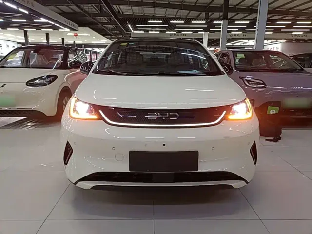 BYD Dolphin — Фото автомобиля 2
