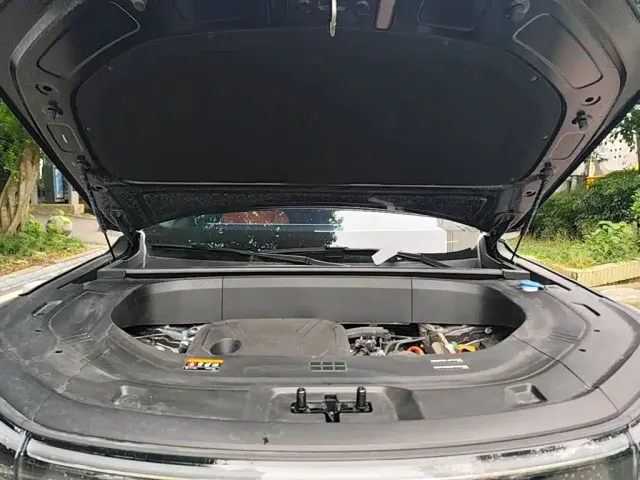 Geely Galaxy M9 — Фото автомобиля 19