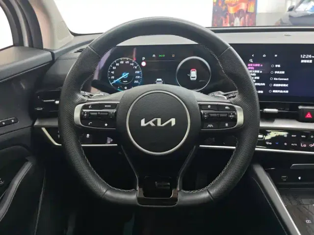 Kia Sportage — Фото автомобиля 15