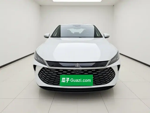 BYD Qin PLUS — Фото автомобиля 2