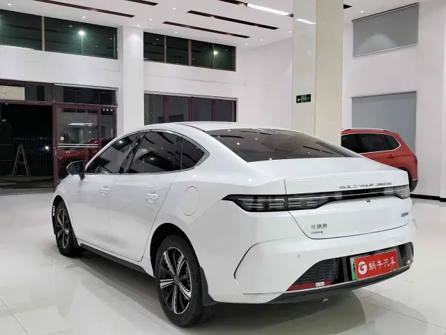BYD Destroyer 05 — Фото автомобиля 13