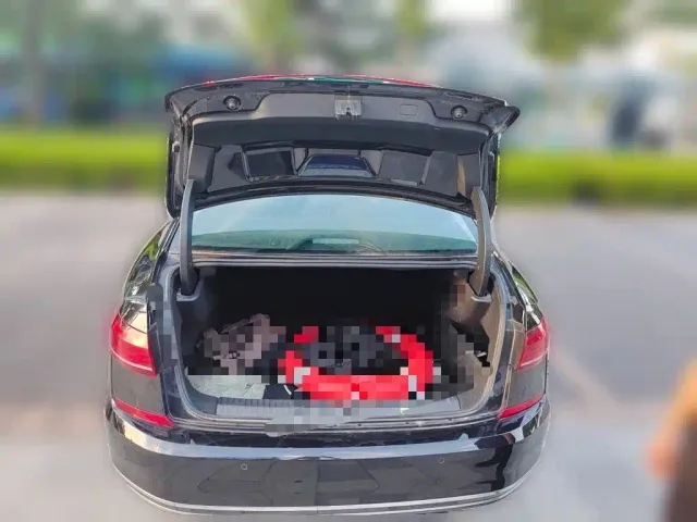 Volkswagen Passat — Фото автомобиля 15
