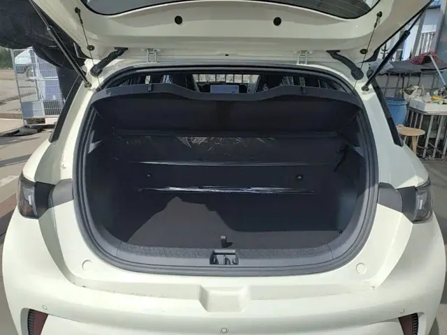 BYD Dolphin — Фото автомобиля 18
