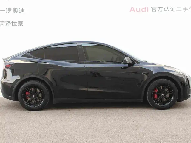 Tesla Model Y — Фото автомобиля 3