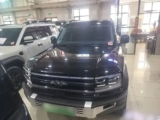 BYD FangChengBao Leopard 5 — Фото автомобиля 2
