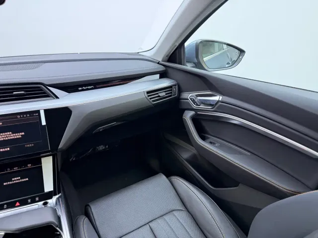 Audi e-tron — Фото автомобиля 11