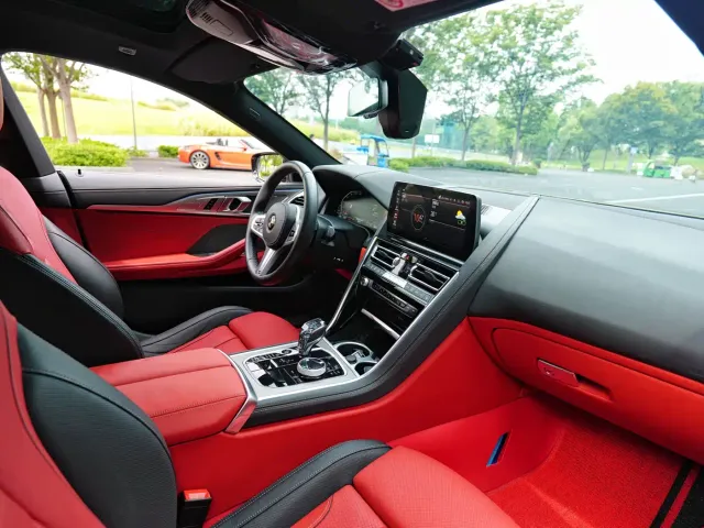 BMW 8 Series — Фото автомобиля 9