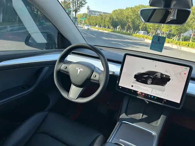 Tesla Model Y — Фото автомобиля 9