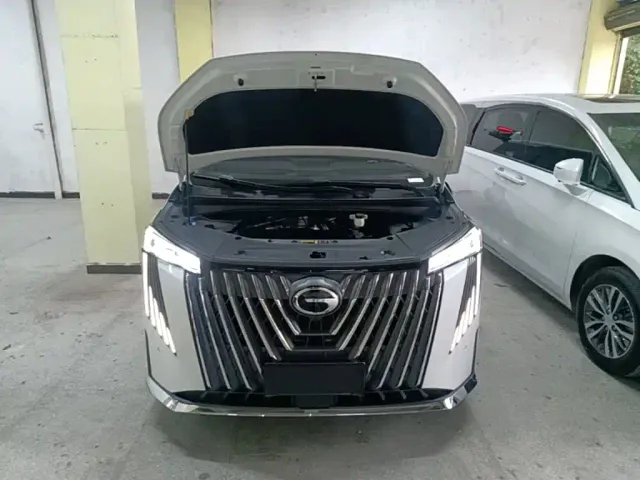 GAC Trumpchi M8 — Фото автомобиля 19