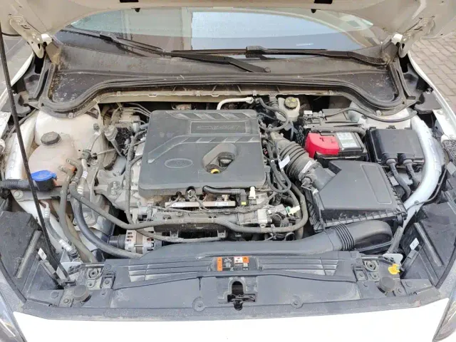 Ford Focus — Фото автомобиля 21
