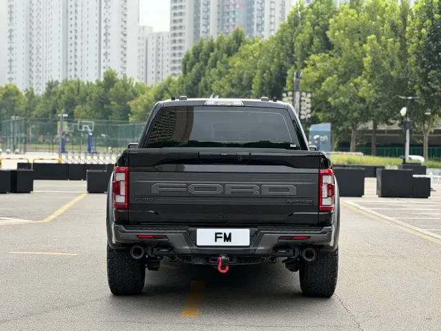 Ford F-150 Raptor — Фото автомобиля 21