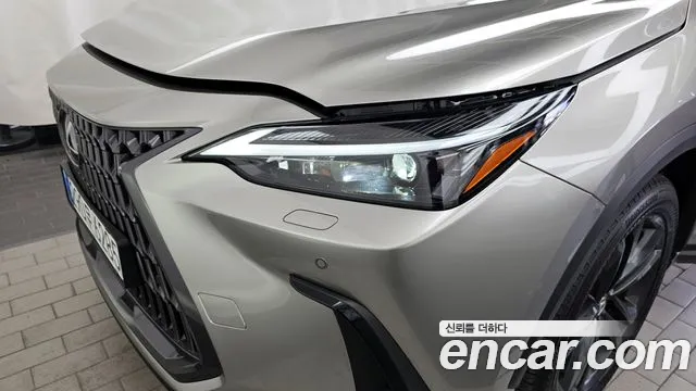 Lexus NX — Фото автомобиля 20