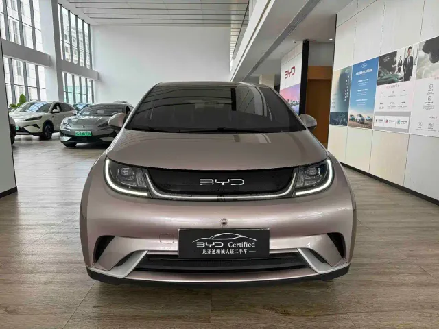 BYD Dolphin — Фото автомобиля 2