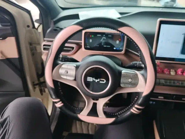 BYD Seagull — Фото автомобиля 10