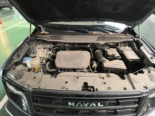 Haval Big Dog — Фото автомобиля 19