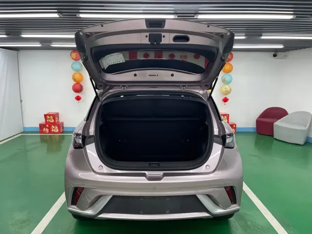 BYD Dolphin — Фото автомобиля 21
