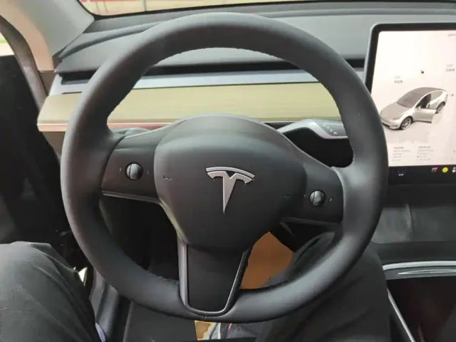 Tesla Model Y — Фото автомобиля 10