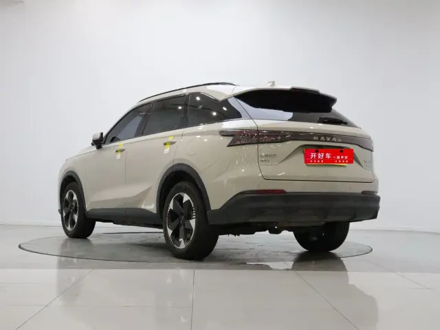 Haval Xiaolong MAX — Фото автомобиля 4