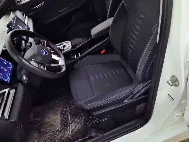 BYD e2 — Фото автомобиля 14