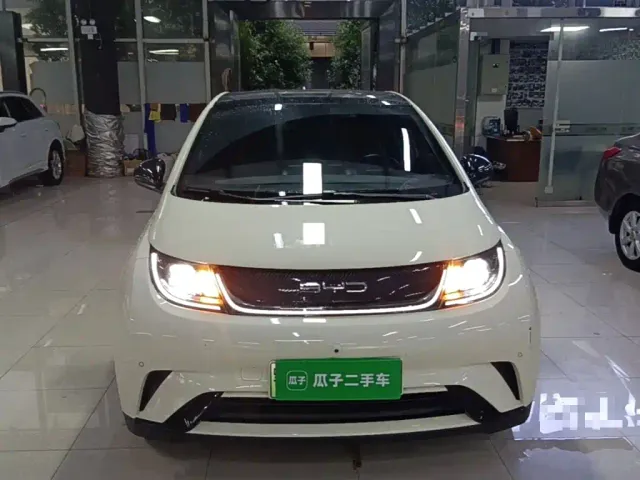 BYD Dolphin — Фото автомобиля 2