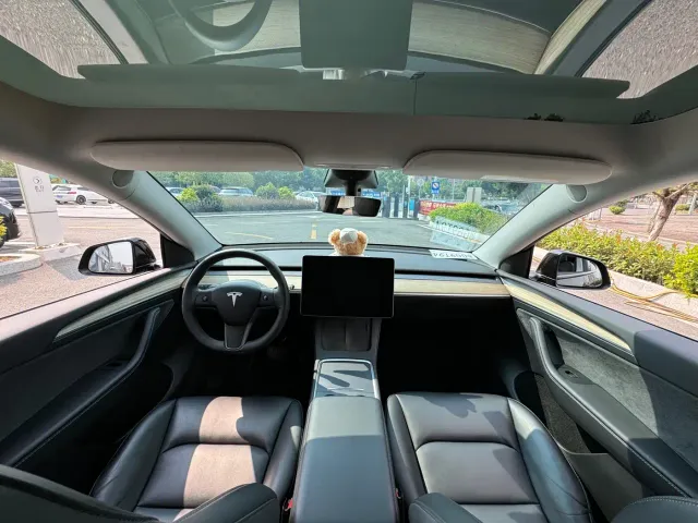 Tesla Model Y — Фото автомобиля 9