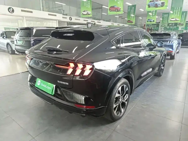 Ford Mustang Mach-E — Фото автомобиля 6