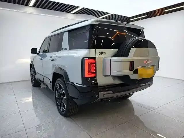 BYD FangChengBao Leopard 8 — Фото автомобиля 16