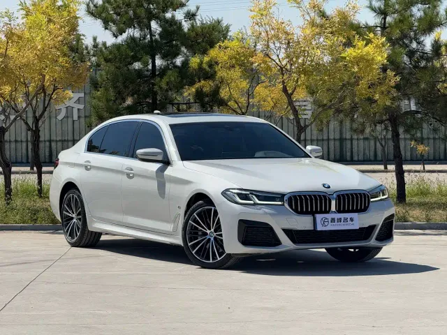 BMW 5 Series — Фото автомобиля 3