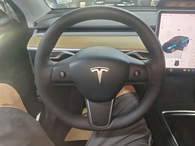 Tesla Model Y — Фото автомобиля 10