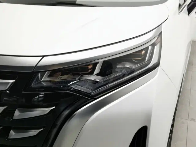 Denza D9 — Фото автомобиля 7