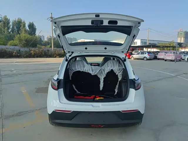 Geely Starry Wish — Фото автомобиля 18