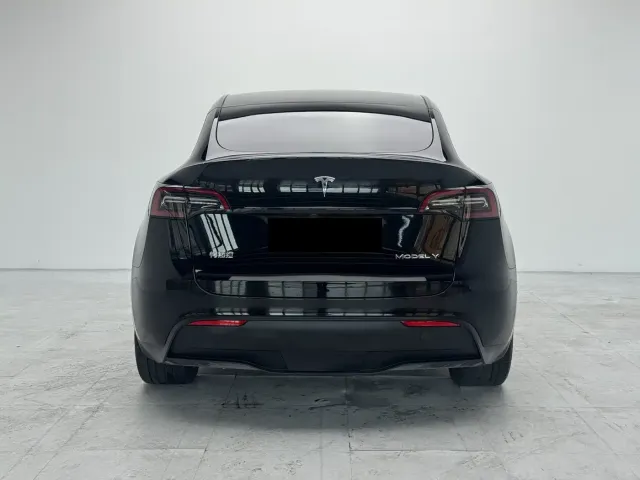 Tesla Model Y — Фото автомобиля 9
