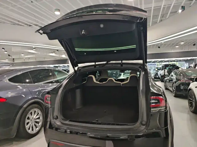 Tesla Model X — Фото автомобиля 14