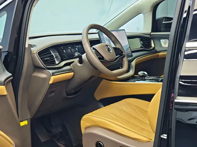 Denza D9 — Фото автомобиля 10