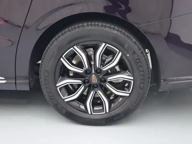 Hongqi Hongqi HQ9 2023 2.0T Smart Connect Flagship — Фото автомобиля 4