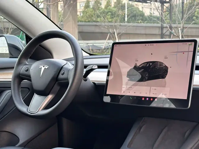Tesla Model 3 — Фото автомобиля 15