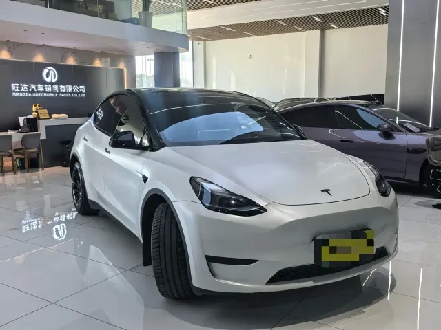 Tesla Model Y — Фото автомобиля 3