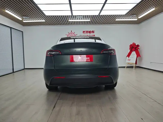 Tesla Model Y — Фото автомобиля 6