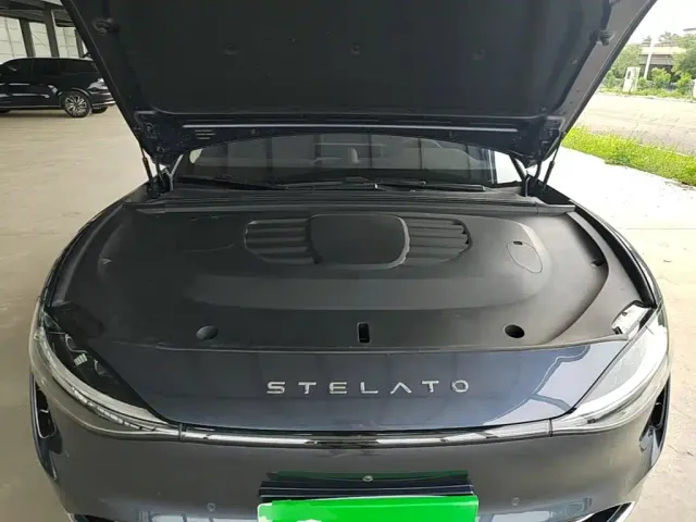 Stelato S9 — Фото автомобиля 15