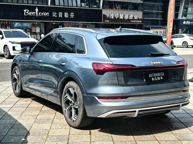 Audi Audi e-tron 2021 50 quattro Exclusive Selection — Фото автомобиля 8