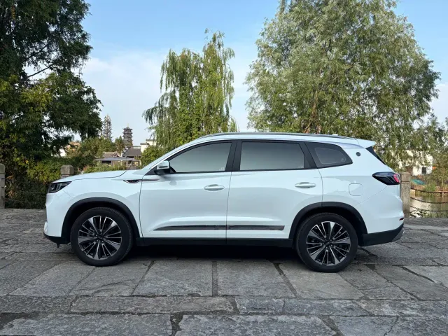 Chery Tiggo 8 PLUS 2024 Champion Edition 290TGDI DCT Haoxiang Version (5-seater) — Фото автомобиля 4