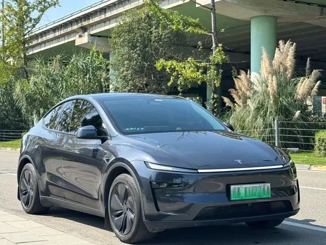 Tesla Model Y — Фото автомобиля 3