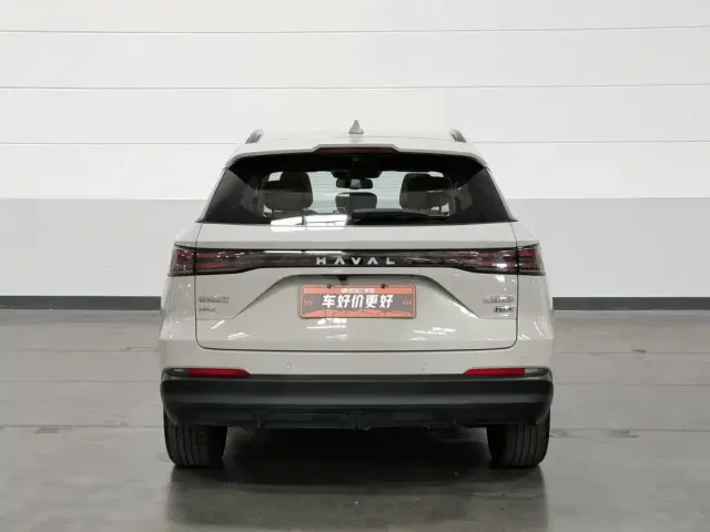 Haval Xiaolong MAX — Фото автомобиля 4